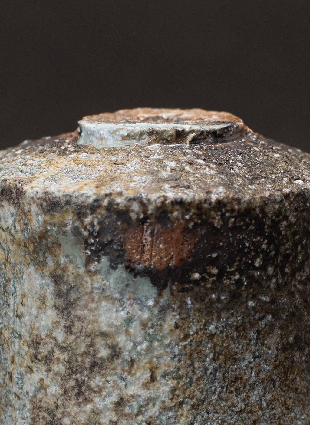 Sake Cup (Guinomi) - Yakishime (Echizen Clay)