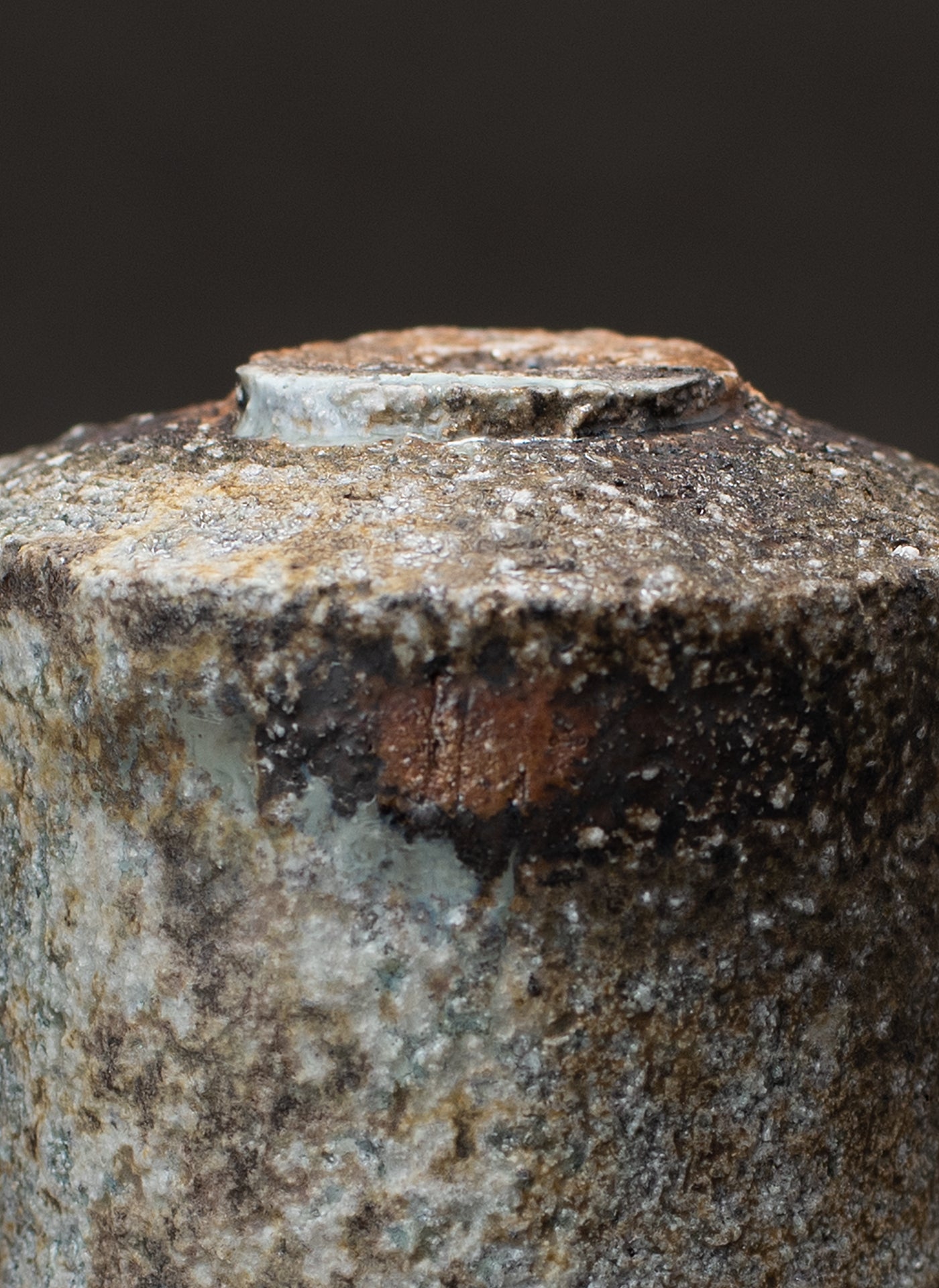 Sake Cup (Guinomi) - Yakishime (Echizen Clay)