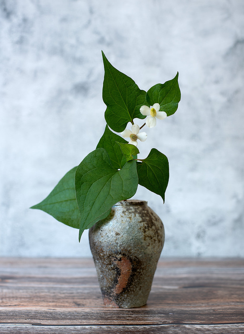 Vase à fleurs (à suspendre ou à poser) – Yakishime (Terre de Shigaraki)