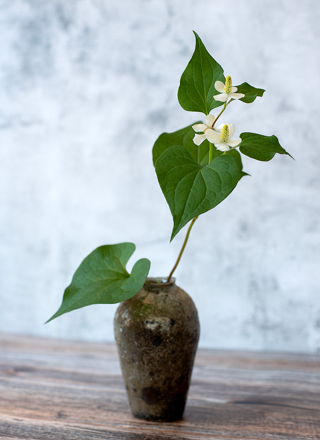 Flower vase (Hana-ire) – Yakishime (Tamba Land)