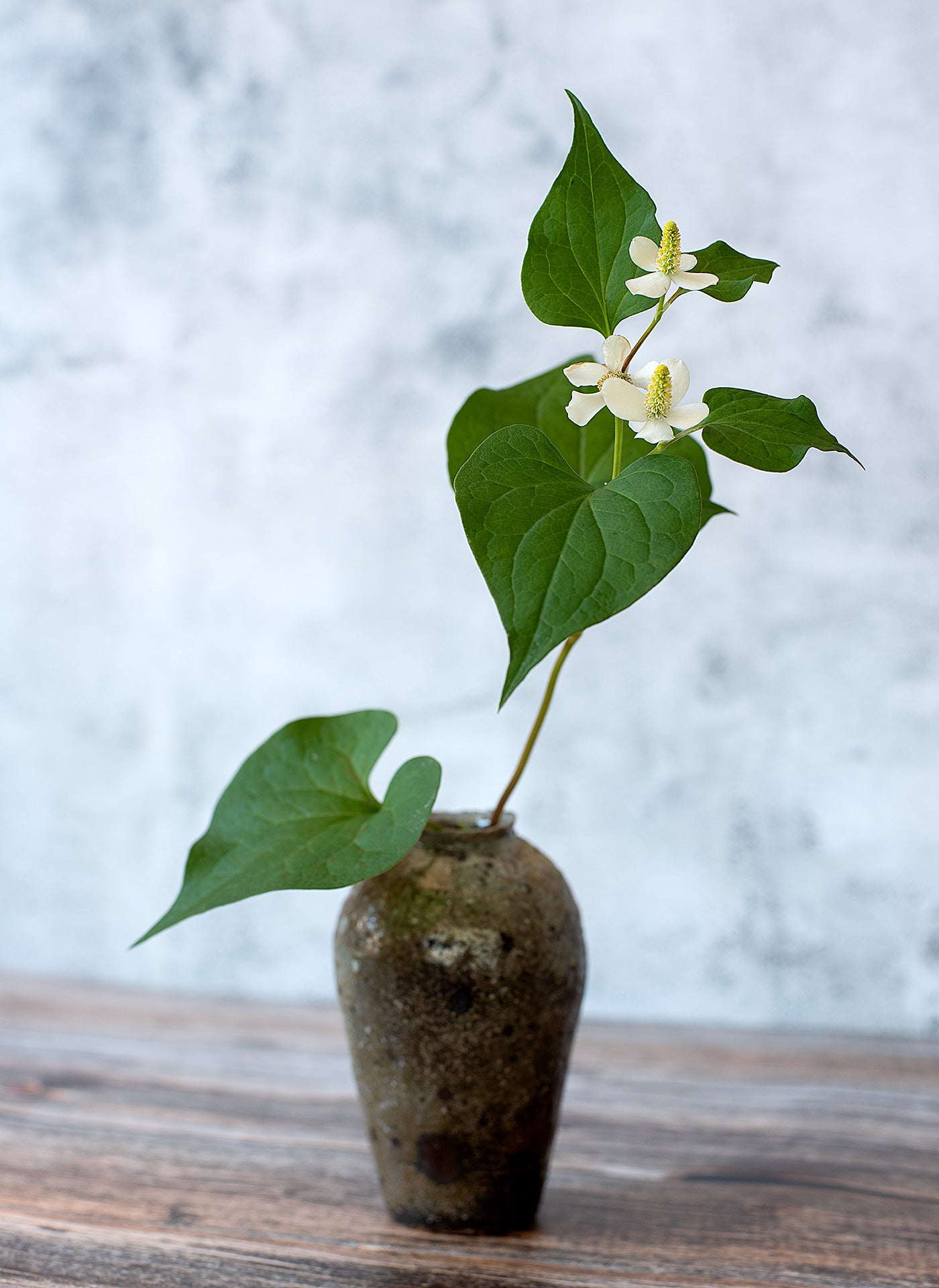 Flower vase (Hana-ire) – Yakishime (Tamba Land)