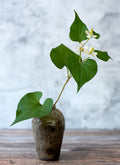 Flower vase (Hana-ire) – Yakishime (Tamba Land)