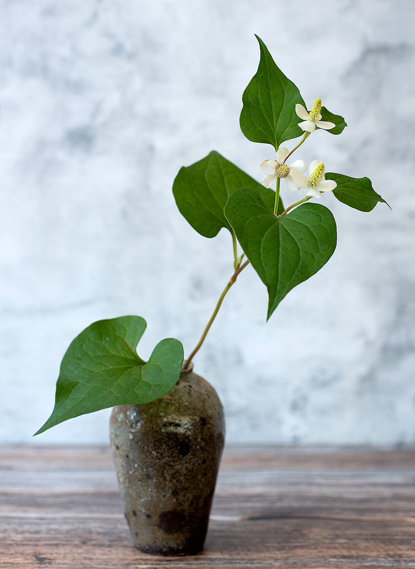 Vase à fleurs (Hana-ire) – Yakishime (Terre de Tamba)