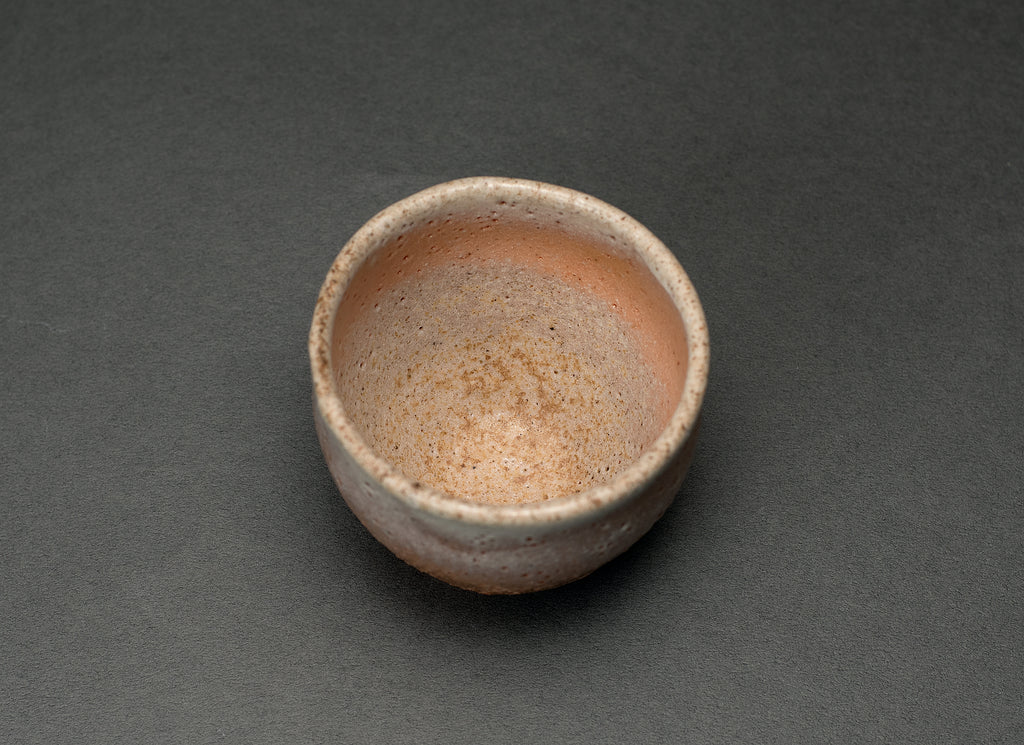 Shino Fluid Style Engraved Versatile Mug