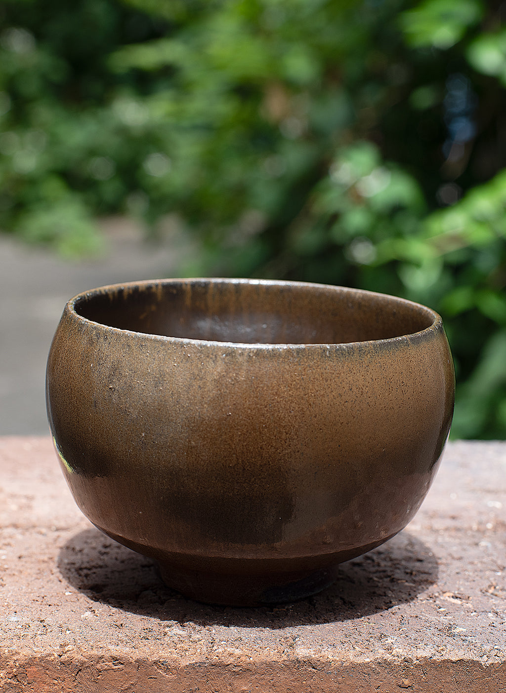 Tadanoumi Yu Iron glaze all-purpose coupe